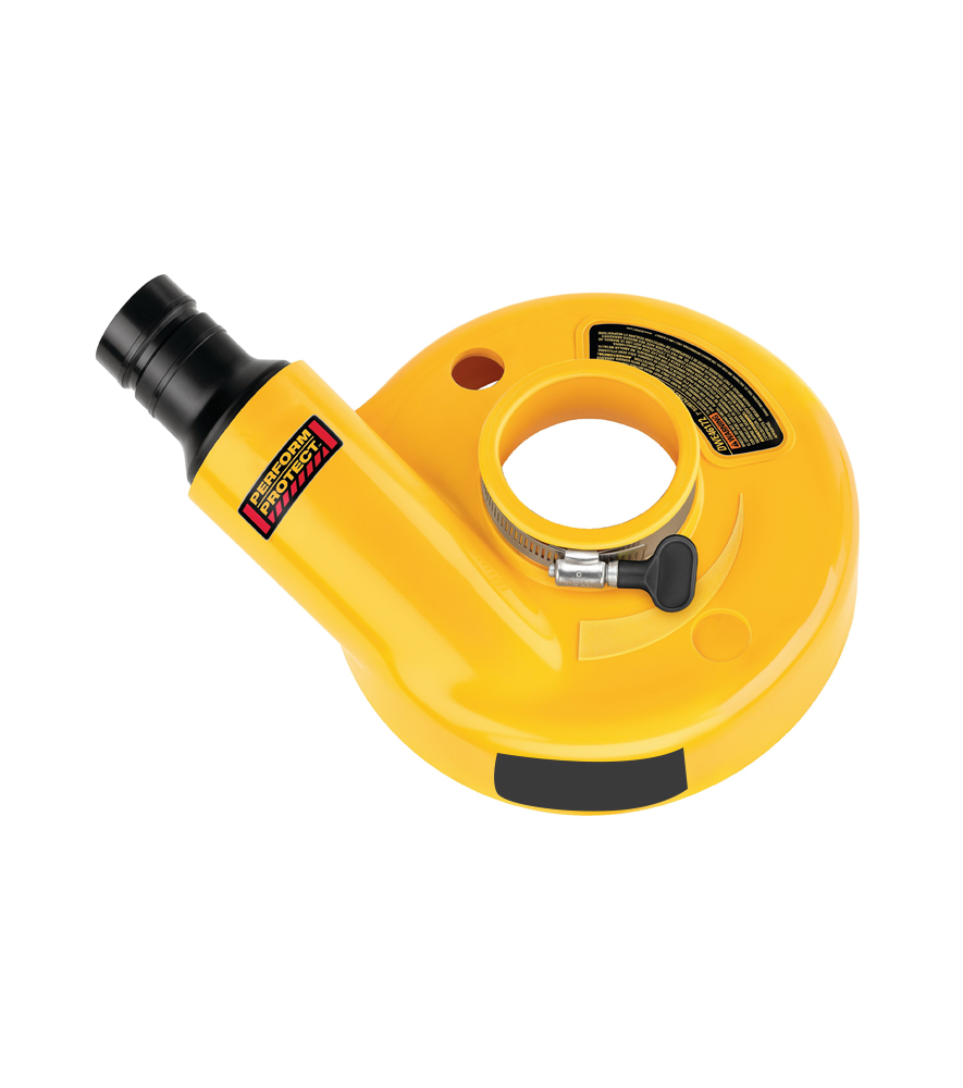 Dishacentrupr Jenghing  aliquam vel dolor